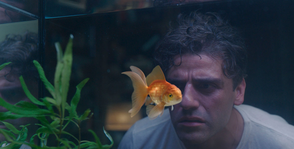 In a still from the series Moon Knight, Steven Grant stares into his fish tank at a goldfish. The camera is positioned in front of the fish tank, so that viewers see Steven looking through from the glass on the other side.