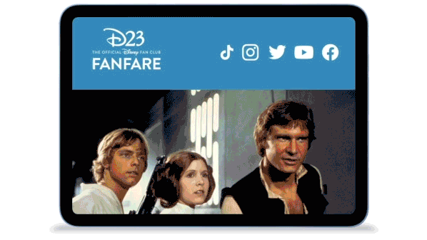 FanFare Newsletter - iPad
