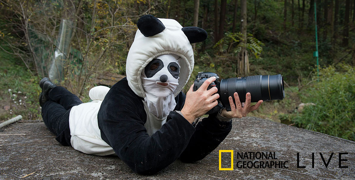 The National Geographic logo with yellow rectangle frame with the word “LIVE” to the right, advertising NatGeo’s speaker series. Along with it is a photo of photographer Ami Vitale dressed as a panda bear. She is laying on her stomach in a forest, leaning on her elbows and holding a large camera. She is wearing a complete panda costume, including a mask that covers her face.