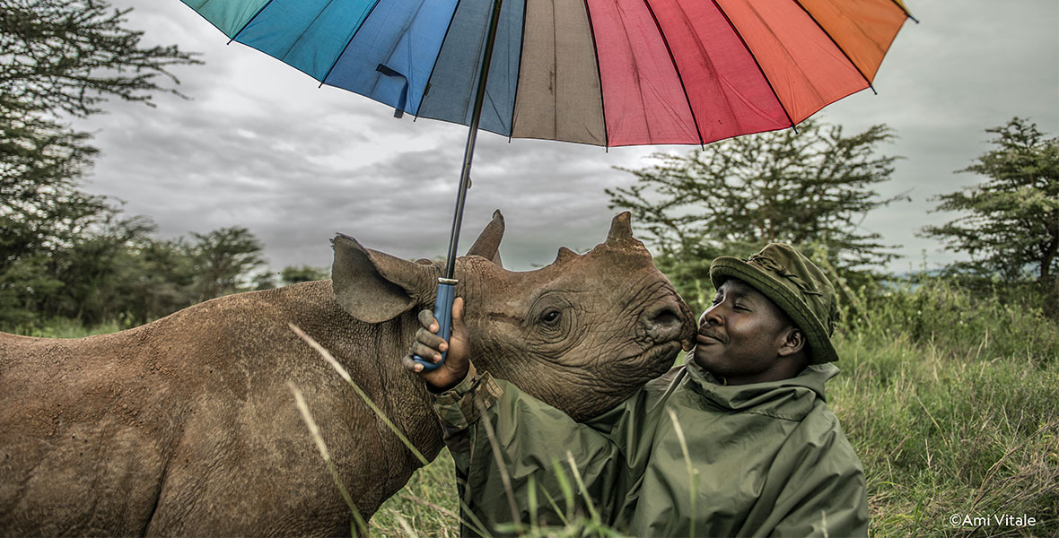 : A man in an olive-green poncho and hat stands face to face with a rhino in a grassy field. He is mouth to mouth with the rhino, nearly kissing, and holding a striped rainbow umbrella above them. 