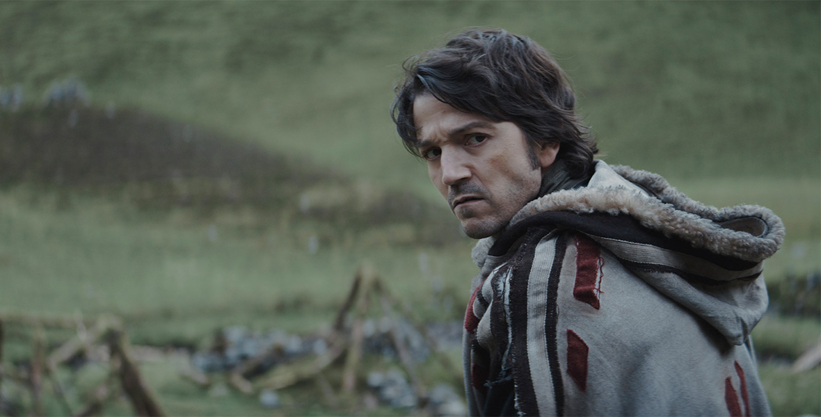 In a scene from the Disney+ series Andor, actor Diego Luna portrays Cassian Andor and stands in a vast field. He looks over his left shoulder and wears a tan, hooded jacket with black and red accents and white fur on the hood.