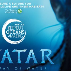 An official poster from The Nature Conservatory detailing the “Avatar Keep Our Oceans Amazing” campaign features a striking close-up image of a Na’vi with half of her face visible.