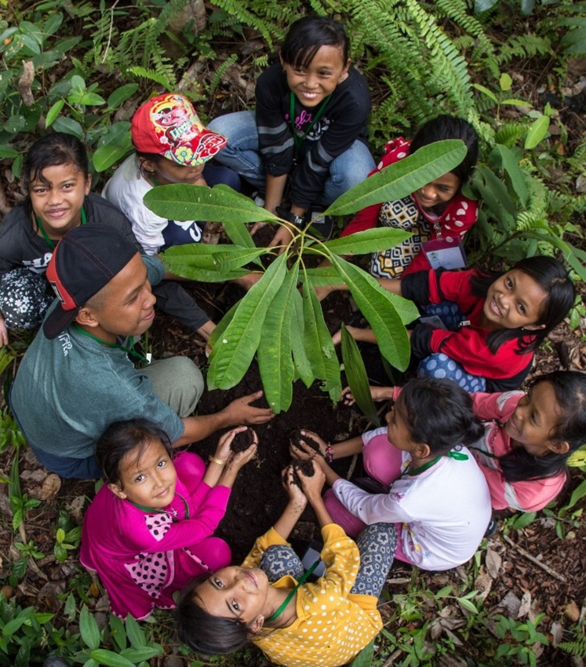 Ten local children learn about reforestation in Sebangau National Park. They are squatting in a circle around a leafy green plant and looking up at the camera.