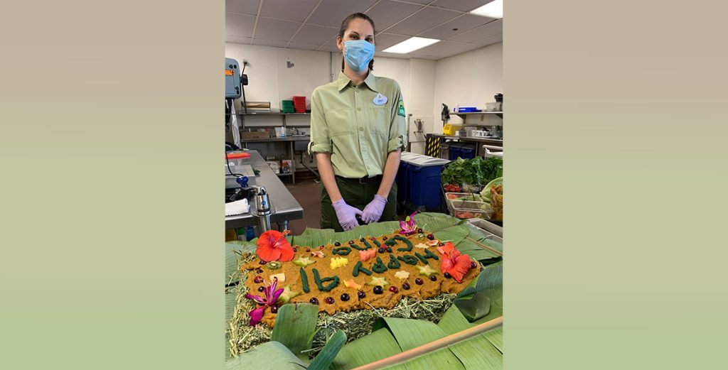 Erica, an animal keeper at Disney’s Animal Kingdom Theme Park at Walt Disney World Resort in Lake Buena Vista, Florida, stands behind a counter in the Animal Nutrition Center kitchen. Erica wears a light green, button-down shirt, dark green pants, purple latex gloves on their hands, and a blue surgical mask covering their nose and mouth. Erica wears a white, round name tag with blue writing that reads ‘Erica’ and The Walt Disney Company logo. On the counter in front of Erica is a large, rectangular cake made from alfalfa, pureed sweet potatoes, and fruit, that reads, ‘Happy 41 Gino’ in green writing. The cake is placed on top of a layer of banana leaves. In the room are large stainless-steel tables, kitchen equipment, and plastic bins containing colorful fruits and vegetables.