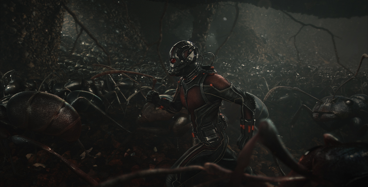 Ant-Man 3: Disney+ Announces Release Date for Sequel's Marvel Studios  Assembled Special