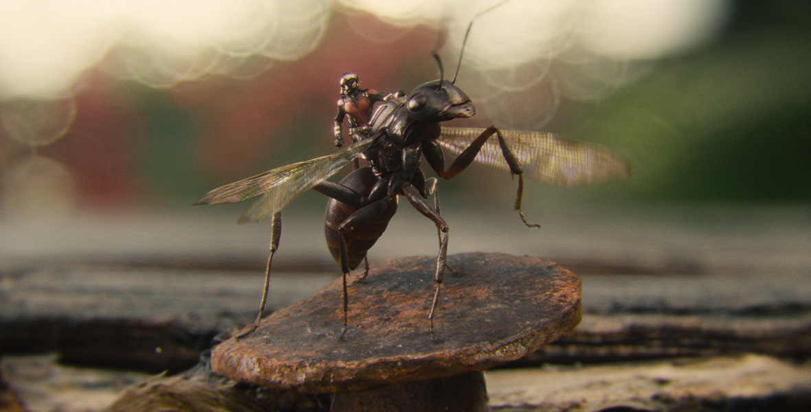 In a scene from Ant-Man, Scott Lang wears a red and black Ant-Man suit with silver details. He is riding on the back of a giant ant, which is standing on a rusty nail.