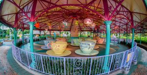 A wide angle shot shows the Mad Tea Party attraction at Walt Disney World&rsquo;s Magic Kingdom. The attraction is empty, there are no people around, and the tea cups are sitting underneath illuminated paper lanterns, but sunlight can be seen beyond the edges of the attraction&rsquo;s canopy.