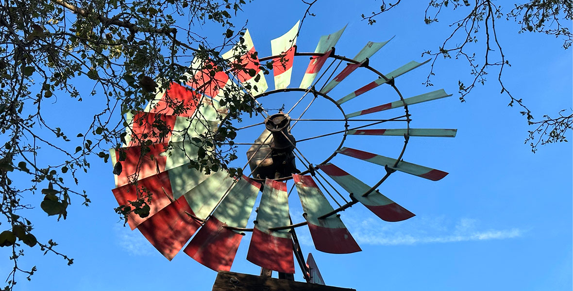 A very large windmill type fan with red and white blades sits atop a wooden tower against a bright blue sky. The sun is shining and tree branches extend into the frame of the photo, obscuring the fan with sparse branches and leaves.