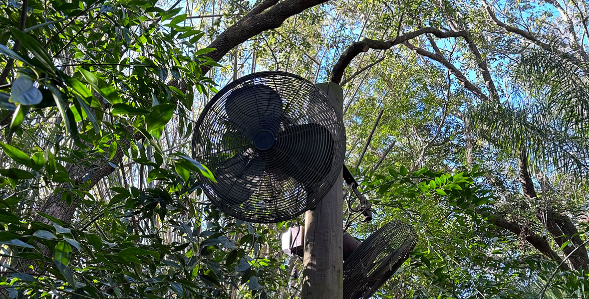 A covered fan is mounted at the top of a tall wooden post in the middle of lush jungle plants. Trees and bushes surround the post and another fan can be seen right behind the one closest to the camera.