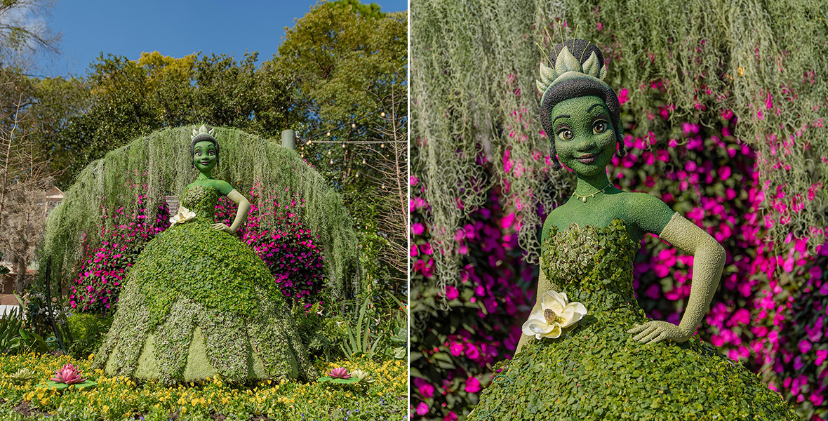 Two photos of the Princess Tiana topiary, a close-up and a wide shot. From The Princess and the Frog, Tiana wears a ballgown of leaves, designed to be her dress from her bayou wedding; a water lily sprouts from her waistline. She stands with a hand on her hip before a wall of pink flowers.