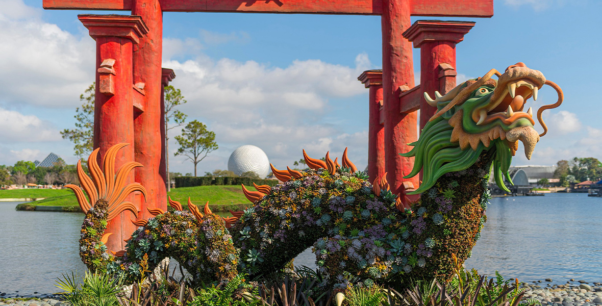 At the Japan pavilion, a dragon topiary stands in front of a red gate, with the World Showcase Lagoon and Spaceship Earth behind it. All sorts of succulents line the dragon’s body.