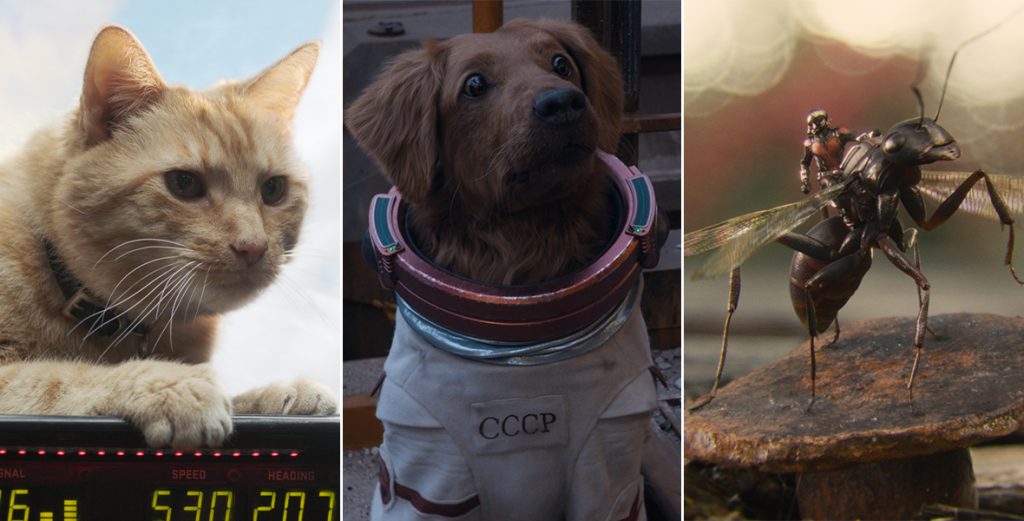The Universe of Powered-Up Animal Pals in the MCU