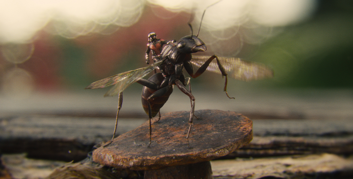 Ant-Man, wearing his full armor and shrunken down, looks over his shoulder while he rides on the back of an ant.