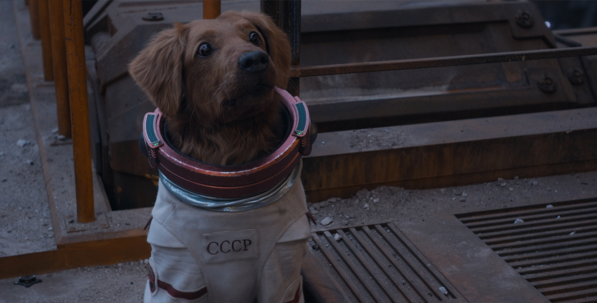 Cosmo the Space Dog, a yellow lab in a CCCP space suit, looks at something offscreen. She is standing on a metal grate covered in dirt, and a metal structure stands behind her.