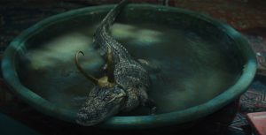 Alligator Loki, an alligator wearing Loki’s golden horn helmet, sits in a dirty plastic pool.