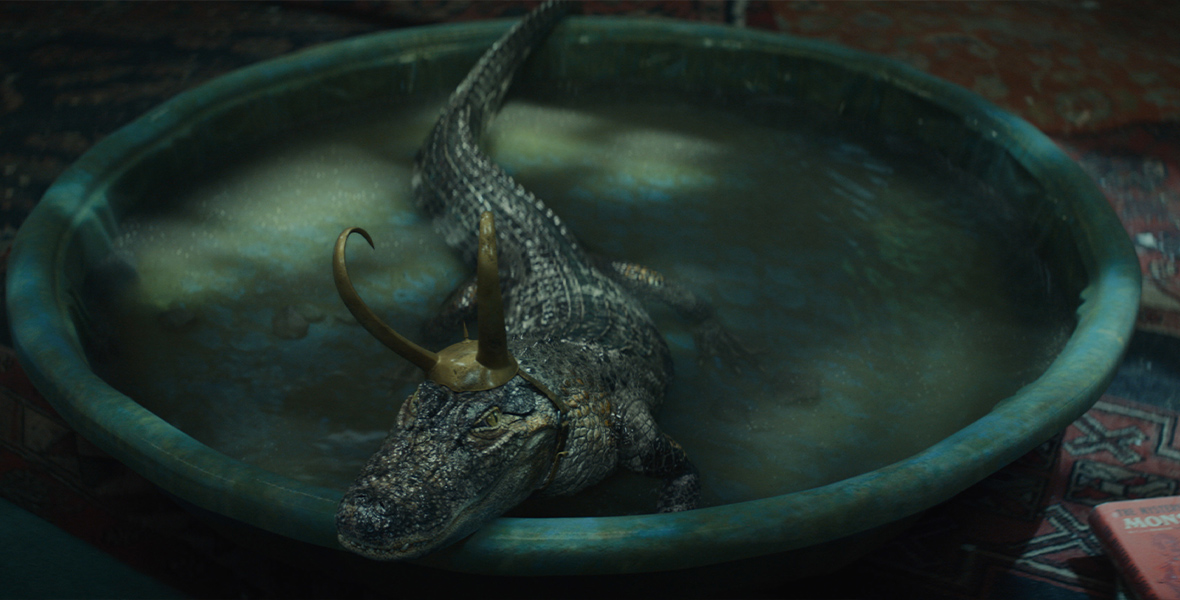 Alligator Loki, an alligator wearing Loki’s golden horn helmet, sits in a dirty plastic pool.