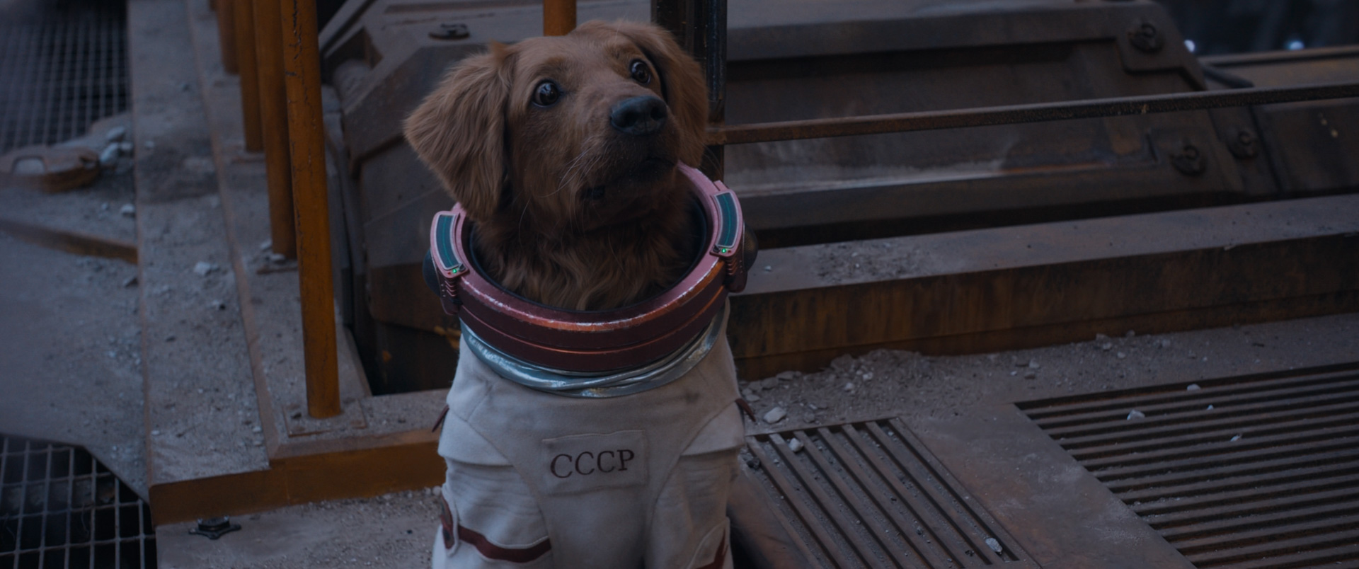 An image of Cosmo the space dog in Guardians of the Galaxy Vol. 3. She sits and looks up eagerly, wearing her white CCCP spacesuit. She has fluffy ears, red fur, and a long snout.
