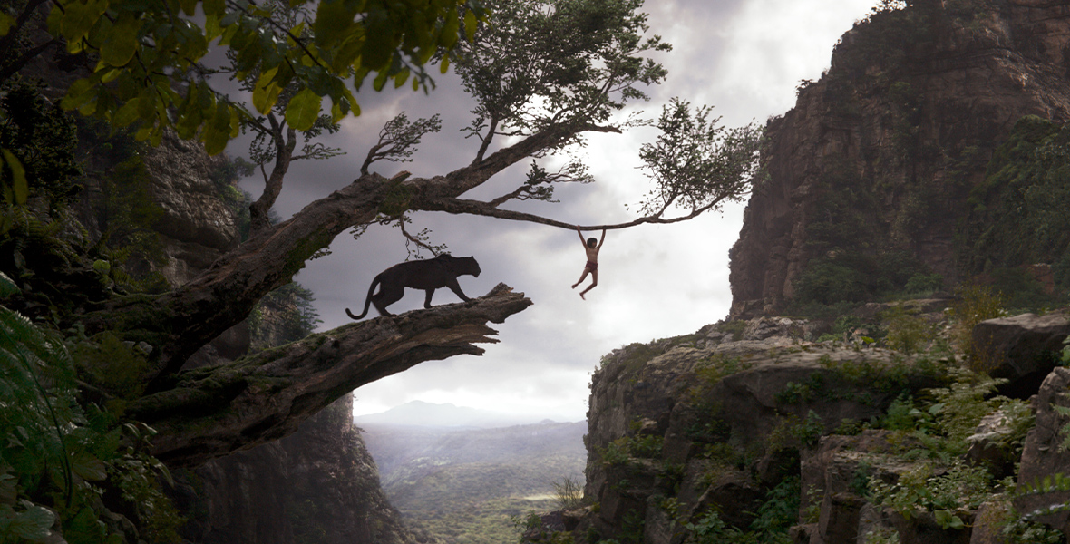 In the live-action reimagining of The Jungle Book, young boy Mowgli swings from a branch over a ravine in the jungle. The black panther Bagheera watches over him from a log that hangs over the ravine’s edge.