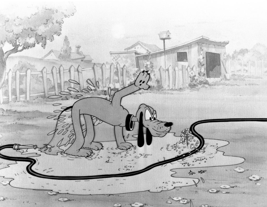 In this image from the animated short Playful Pluto, Pluto is in a grassy yard confronting a garden hose. He’s frowning at the hose and has one front leg raised to stomp out a leak in the hose while he also shakes water off his body.