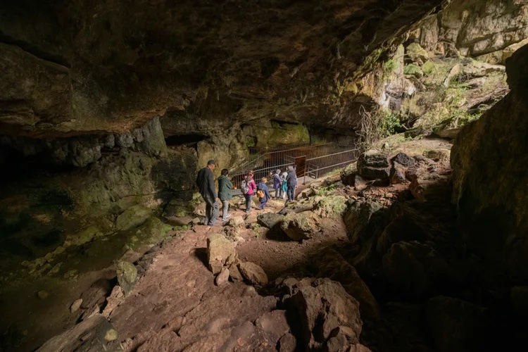 A group of travelers walk across a bridge inside a dark cavern filled with rocks and greenery.