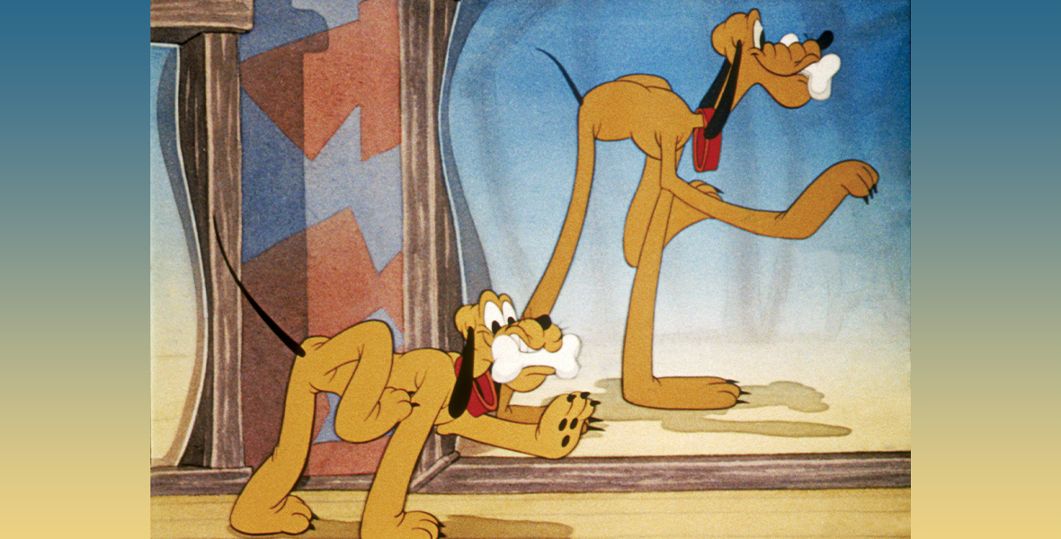 In an image from the 1940 classic Walt Disney animated short Bone Trouble, Pluto is walking by a tall mirror while holding a large bone between his teeth. He lifts one front paw and one back paw high in the air as he walks. The mirror distorts his image, making him look taller than he really is.