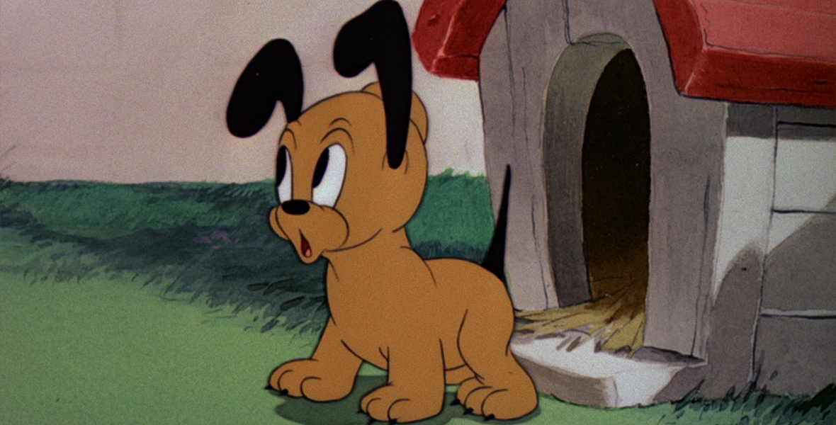 Pluto Junior's ears and eyes are raised as he exits his doghouse.