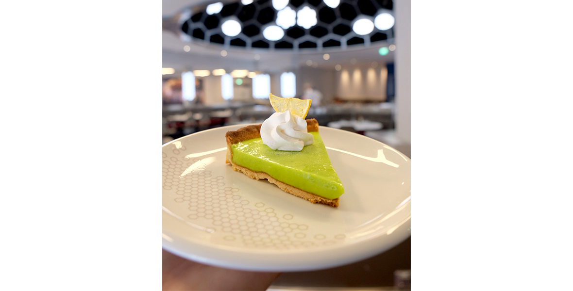 A piece of key lime pie sits on a white plate in someone’s hands. The pie is light green with a beige crust, topped with a whipped white topping and a dried slice of lemon on top. 