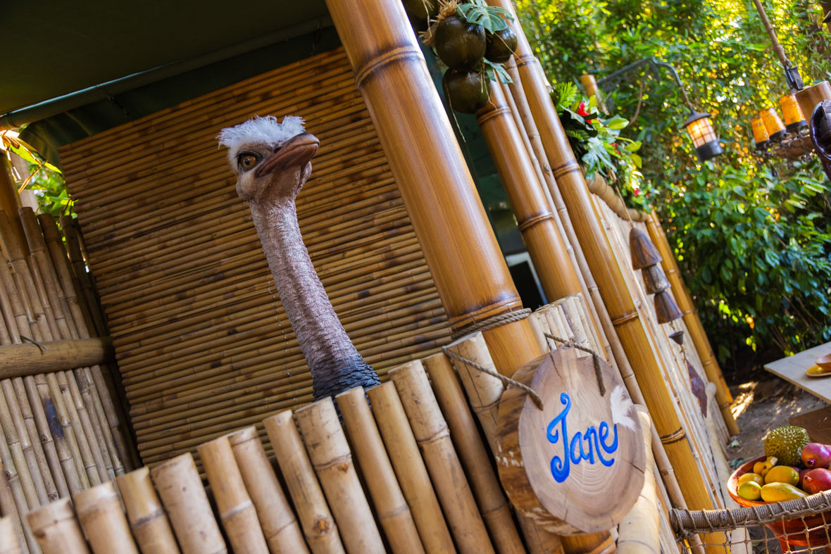 The head of an ostrich is visible above a wall made of bamboo. This is the animated Jane, the family’s pet.