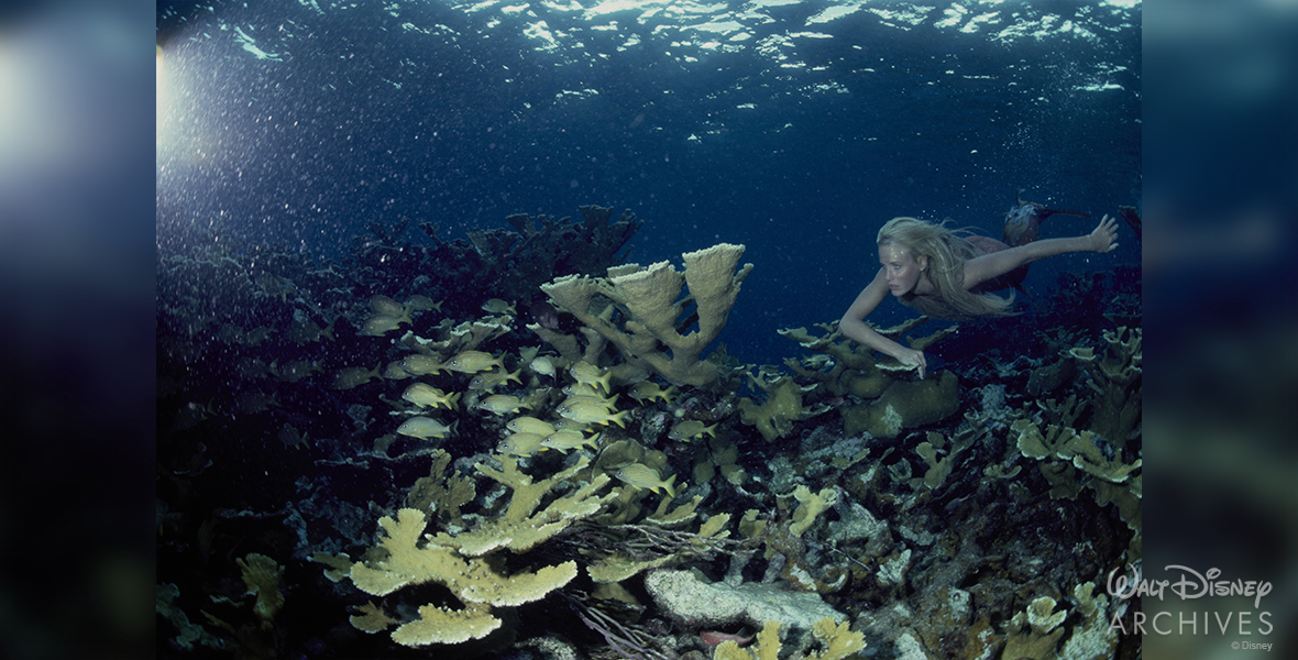 Daryl Hannah, in costume as the mermaid Madison, swim though a colorful Bahamian coral reef alongside schools of fish. The surface of the ocean shimmers above her.