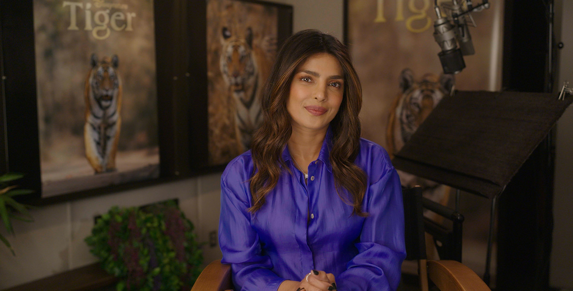 Priyanka Chopra Jonas is sitting in a wooden chair, in an interview for the movie Tiger. Chopra Jonas is wearing a purple silk shirt and is looking at the camera. Behind her are posters of the movie Tiger and a studio microphone over a wooden script stand.