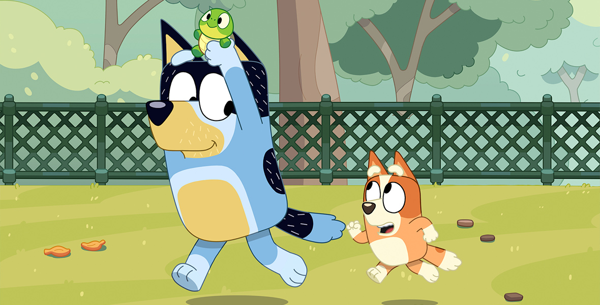 In a scene from the series Bluey, Bingo, a playful Red Heeler puppy, joyfully pursues her father, Bandit, a Blue Heeler dog. Bandit wears a turtle atop his head, prompting Bingo's enthusiastic pursuit. The backdrop features a lush grass floor, framed by a fence and trees.
