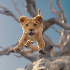 In an image from Disney’s Mufasa, a lion cub, sprung in the air, faces the camera with mouth half-open with a blue sky and large tree in the background.
