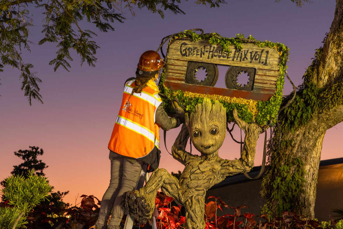 An Imagineer in an orange safety vest and helmet is seen installing the Groot topiary in the early morning hours at EPCOT.