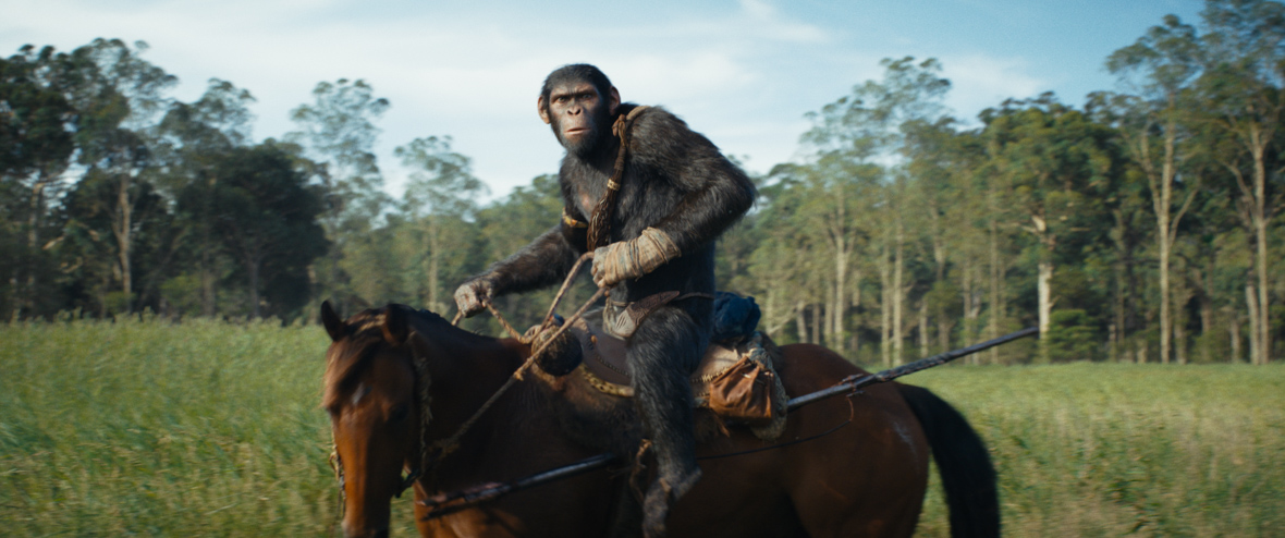 In a scene from the Kingdom of the Planet of the Apes, Noa (Owen Teague), a young ape, rides a brown horse in a field. He sports accessories from his village, the Eagle Clan, including a bracelet and fabric wrapped around his left palm, designed for eagles to perch on. The background features trees from a forest.
