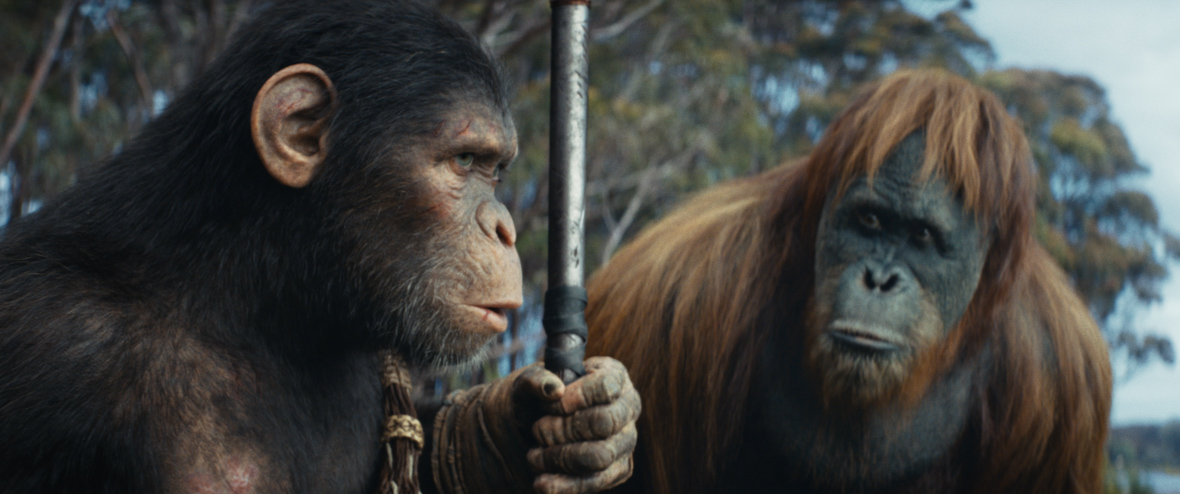 : In a scene from the Kingdom of the Planet of the Apes, Noa (Owen Teague), a young ape, and Raka (Peter Macon), an orangutan, are pictured conversing. Noa (left) holds a spear, his gaze fixed ahead, while Raka (right) observes him. The background features a clear sky and trees.