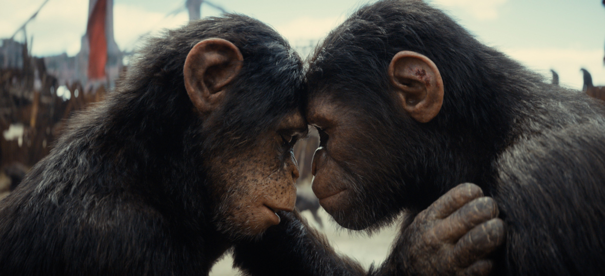 In a scene from the Kingdom of the Planet of the Apes, Soona (Lydia Peckham) and Noa (Owen Teague), two young apes, lean their heads toward each other in an embrace. In the background of the close-up, details of the ape kingdom’s shipwreck headquarters and a red flag are visible.