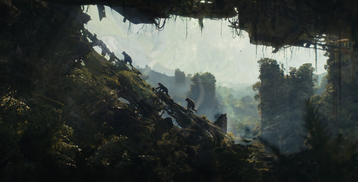 In a scene from Kingdom of the Planet of the Apes, three chimpanzees are seen in the distance, climbing up a series of logs that lead up a steep slope. Some kind of ruin is visible overhead, with more ruins in the distance, all covered in vibrant green plant life.