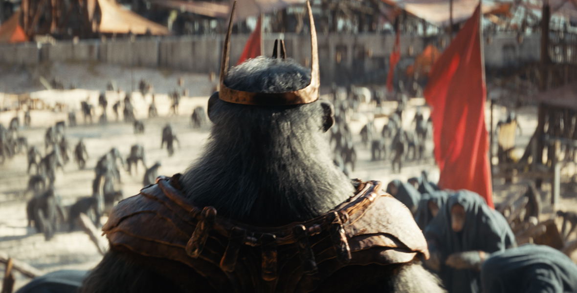In a scene from Kingdom of the Planet of the Apes, the gorilla Proximus Caesar (played by Kevin Durand) stands with his back to the camera on some kind of elevated platform as he speaks to many dozens of his ape subjects, visible far below him in an arena-like space with a sandy surface. Proximus wears a crown with three spikes and what appears to be a leather mantle across his back and shoulders. A few red banners are visible here and there.