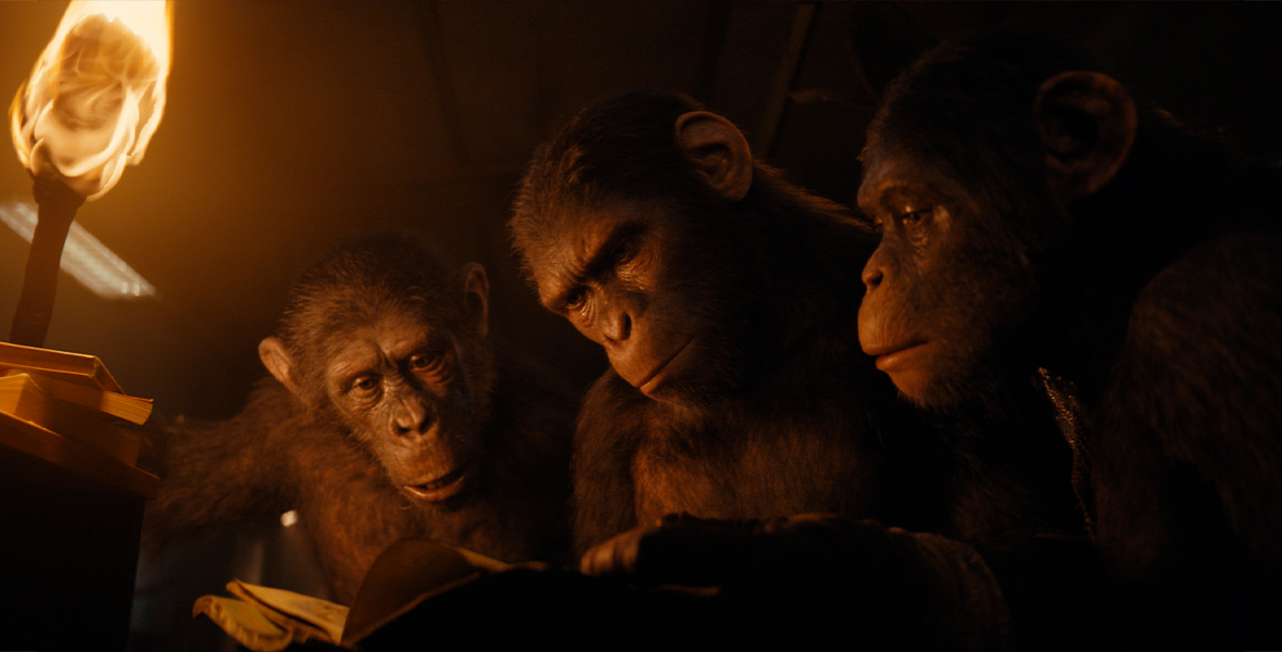 In a scene from the Kingdom of the Planet of the Apes, Anaya (Travis Jeffrey), Noa (Owen Teague), and Soona (Lydia Peckham), three young apes, are depicted reading a book. Anaya (left) holds a torch, adding light to the dimly-lit frame.