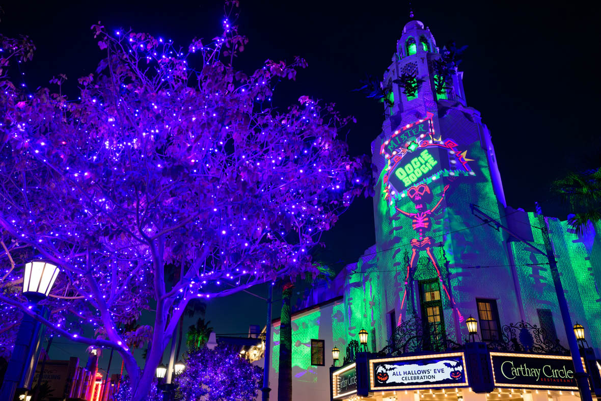 In an image from Halloween Time at Disneyland Resort, on the left is a tree decorated with purple Christmas lights. On the right, a castle displays Halloween-themed blue, green, and pink projections—including a skeleton and the words “Mister Oogie Boogie.” Lit signs at the bottom of the castle indicate: “All Hallows’ Eve Celebration” and “Carthay Circle Restaurant.”