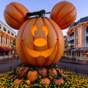 A giant, smiling Mickey Mouse pumpkin in the center of Disneyland Park’s Main Street U.S.A. sits on smaller pumpkins, surrounded by yellow flowers. Black bollards connected with chains encircle the display. In the background, shops and restaurants line the street with signs reading “Gift Emporium,” “Main Street,” and “Magic.”