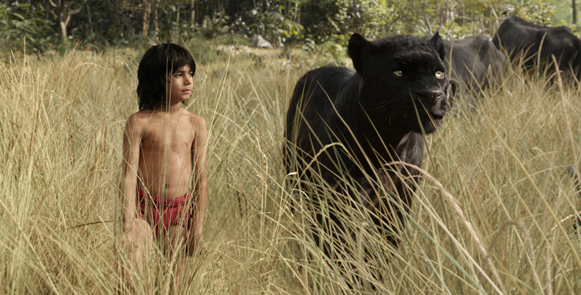 In a scene from Disney’s live action The Jungle Book (2016), a young boy, Mowgli (Neel Sethi), walks through tall grass alongside a large black panther, Bagheera (Ben Kingsley). The scene takes place in a lush jungle, with Mowgli in his iconic red loincloth and the panther looking protective as they move forward together.