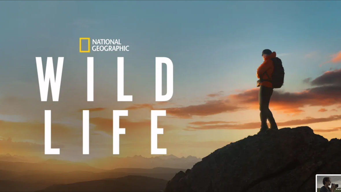 A key art image for National Geographic’s Wild Life. On the right, a person stands on the top of a rock formation; they are wearing a backpack and a puffy jacket, and behind (and in front of) them the sun is setting in hues of pinks, yellows, and blues. To the left, set against the horizon, is the National Geographic logo and the title of the film. 