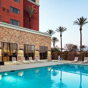 The exterior of the Sheraton Garden Grove in Anaheim, CA. Various lounge chairs with rolled towels are set up on the concrete alongside the hotel’s pool. The pool has two sets of steps under the water with a railing to hold onto. Behind the pool (and to the right of the hotel building) are rows of palm trees against a blue sky; they reflect in the pool’s water.