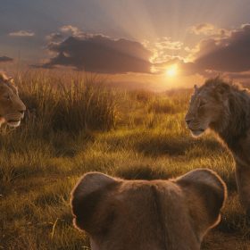 (L-R): Mufasa (voiced by Aaron Pierre), Eshe (Thandiwe Newton), and Taka (Kelvin Harrison Jr.) in Disney’s live-action Mufasa: The Lion King. They are standing in a field, with the sun setting in the background.