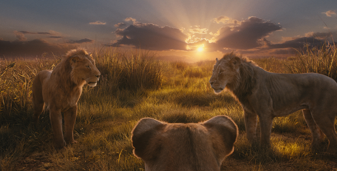 (L-R): Mufasa (voiced by Aaron Pierre), Eshe (Thandiwe Newton), and Taka (Kelvin Harrison Jr.) in Disney’s live-action Mufasa: The Lion King. They are standing in a field, with the sun setting in the background.