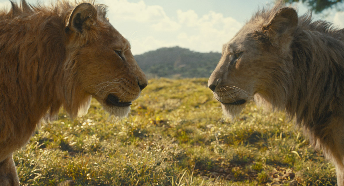 Mufasa (voiced by Aaron Pierre) and Taka (voiced by Kelvin Harrison Jr.) in Disney’s live-action Mufasa: The Lion King. They are staring intently at one another while standing in a field.