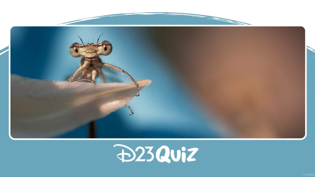 QUIZ: Are You a Bug Brainiac? Test Your Knowledge with This Creepy-Crawly Trivia!