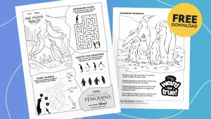 On a blue gradient background with several white squiggly lines, two activity sheets with penguin-themed fun are featured—which include a maze, “match the shadows” game, and line illustrations of penguins for coloring. In the upper right corner, there is a yellow circle with bold black text that reads “Free Download.”
