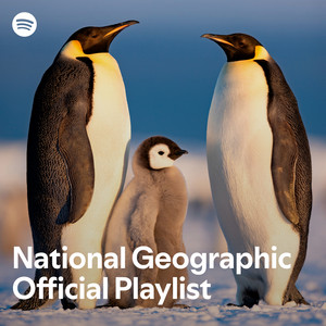 Two adult emperor penguins stand on snowy ground with a fluffy chick between them under a blue sky, accompanied by text that reads “National Geographic Official Playlist” with the Spotify logo in the corner.